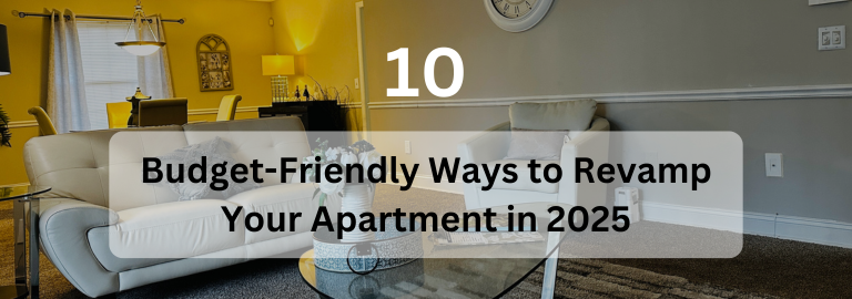 apartment decor on a budget
