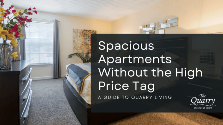 spacious apartments for rent
